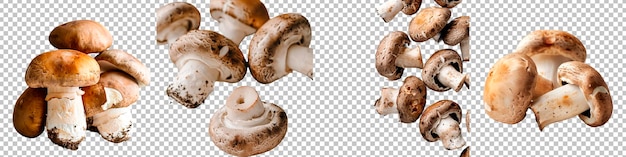 PSD Свежие коричневые грибы на прозрачном фоне