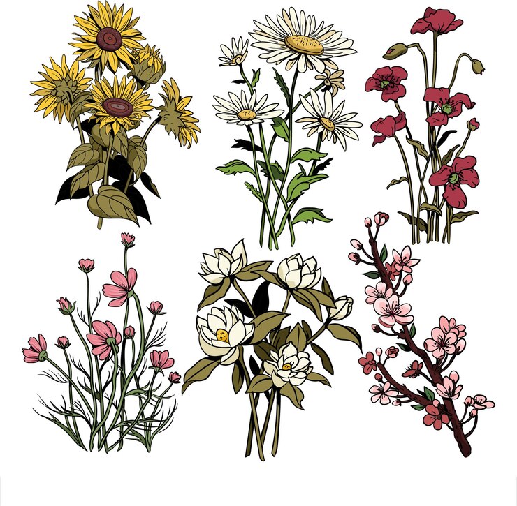PSD 手描き の 花束 の 種類