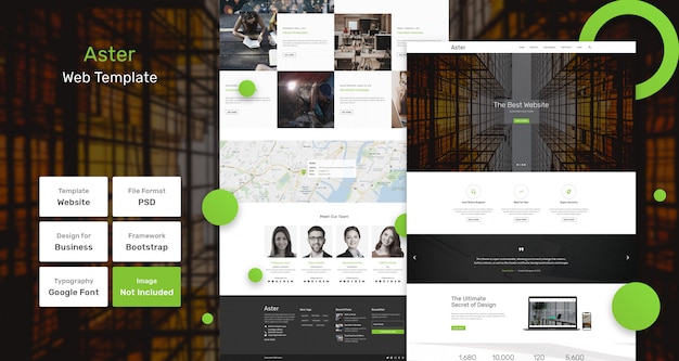 PSD aster web template