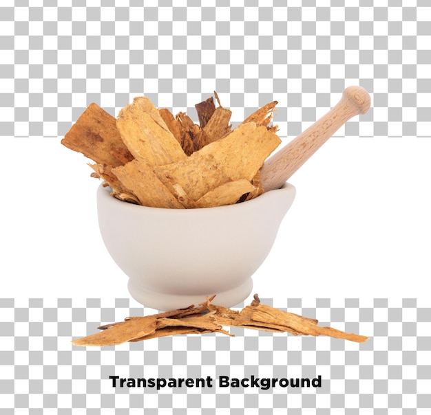 astragalus root