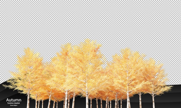 PSD autumn birch trees birch in autumn clipping path