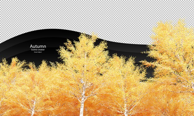 PSD autumn birch trees yellow birch