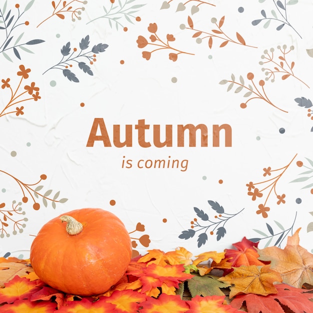 Autumn in coming with pumpkin and dried leaves 