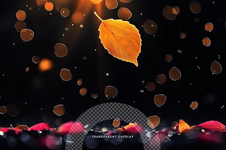 PSD autumn fall banner with falling maple leaves flying color leaves isolated