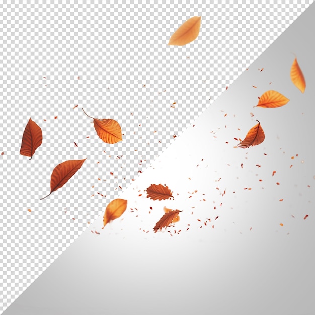 PSD autumn falling tree leaves isolated on white background