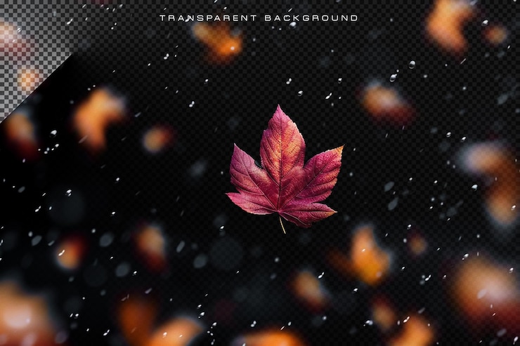 PSD autumn leaf falling in transparent background