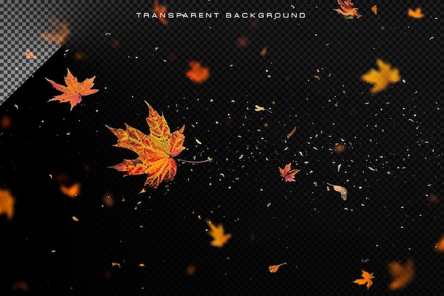 PSD autumn leaf falling in transparent background