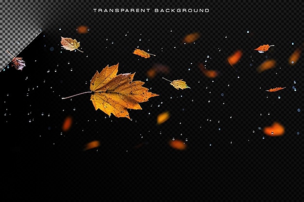 PSD autumn leaf falling in transparent overlay