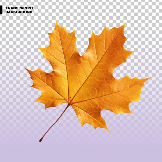 PSD autumn leaf isolated on transparent background