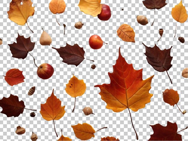 PSD autumn leaf on white background