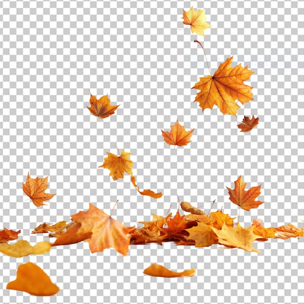 PSD autumn leaves background