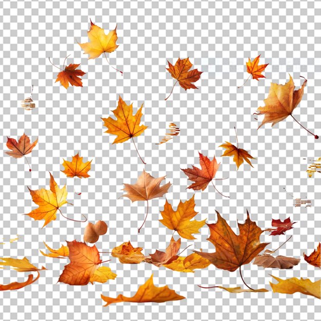 PSD autumn leaves background