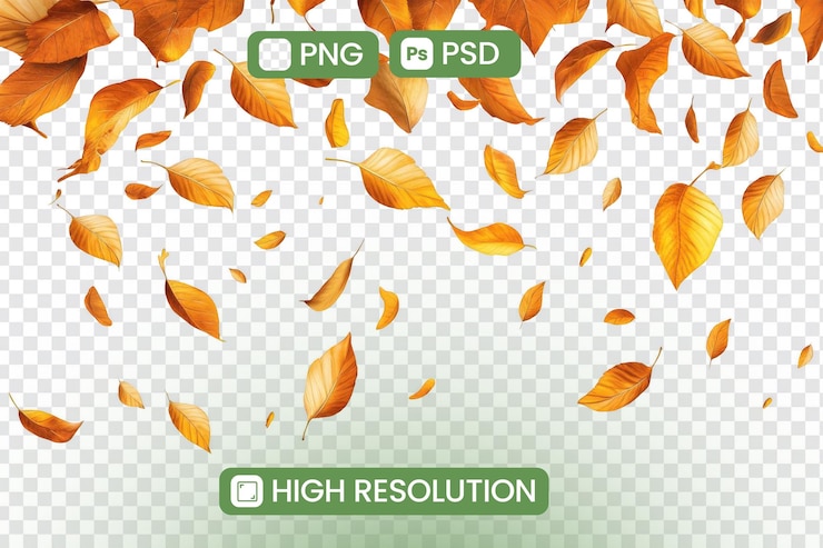 PSD осенние листья падают высокое разрешение png и psd графические ресурсы для дизайнерских проектов с яркой осенней листьями и прозрачным фоном идеально подходит для осенних тем