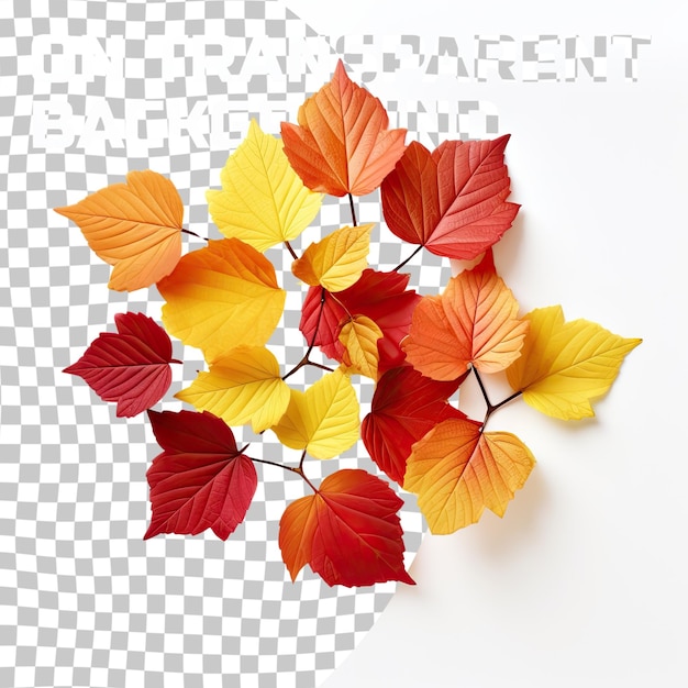 PSD Осенние листья на прозрачном фоне