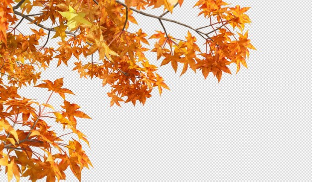 PSD autumn leaves on white background