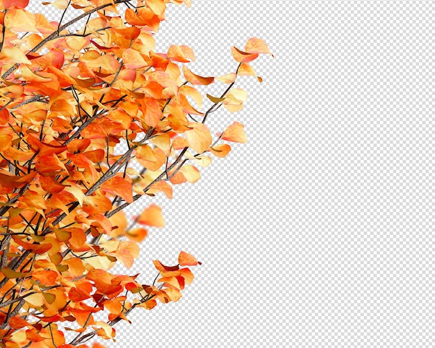 PSD autumn leaves on white background