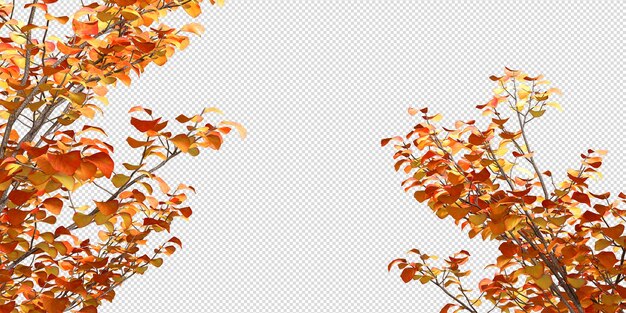 PSD autumn leaves on white background