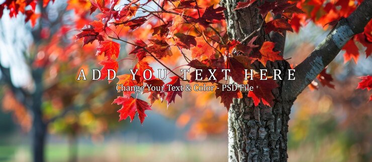 PSD autumn leaves