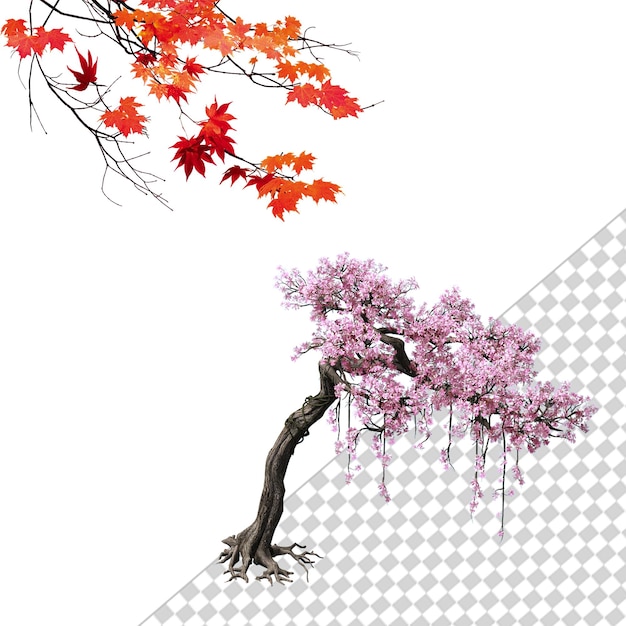 autumn maple leaves and cherry blossom tree