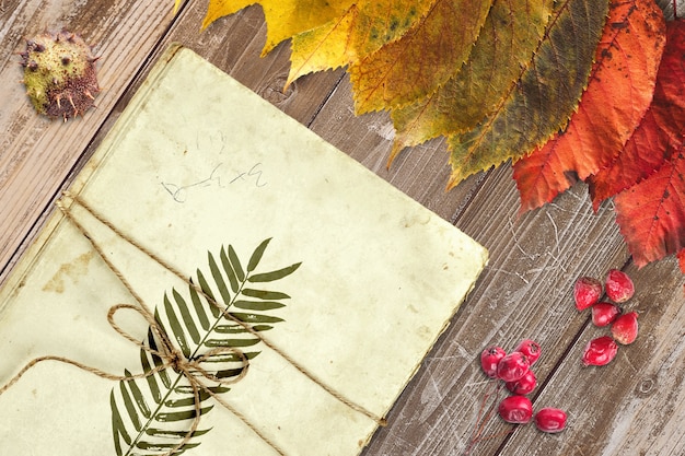 PSD autunno mock-up