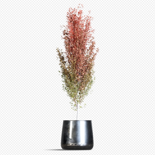 Autumn plant in pot in 3d rendering