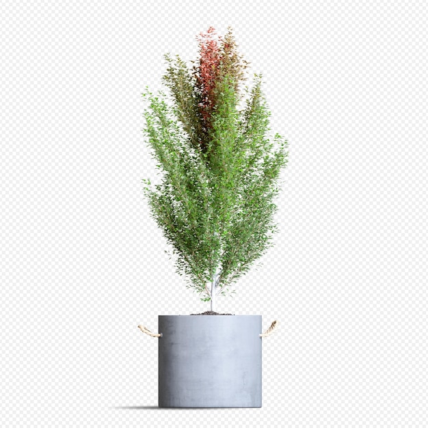 PSD autumn plant in pot in 3d rendering