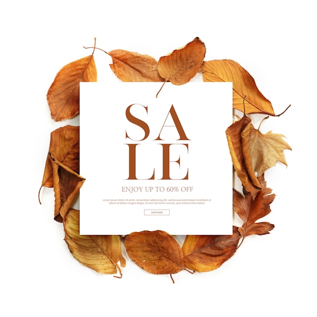 PSD autumn sale banner or card