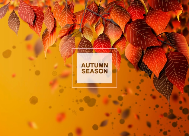 PSD autumn season  background, leaves and shadows