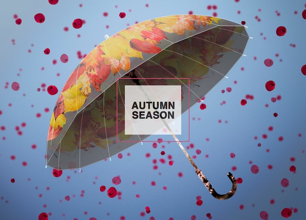 PSD autumn season  background with an umbrella