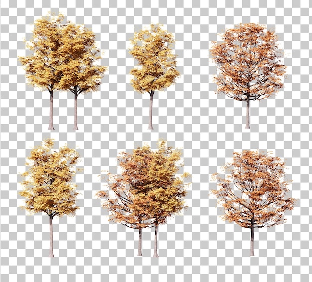 Autumn tree illustration cutout set