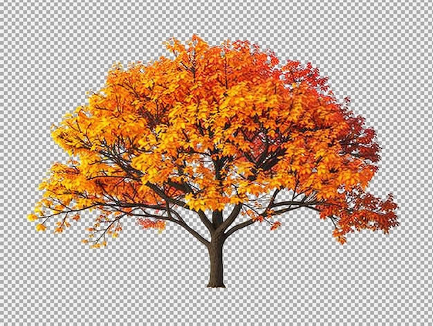 PSD Осеннее дерево png