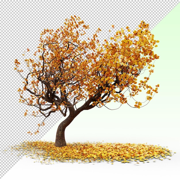 PSD autumn tree