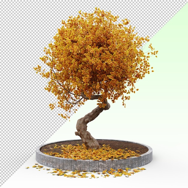 PSD autumn tree