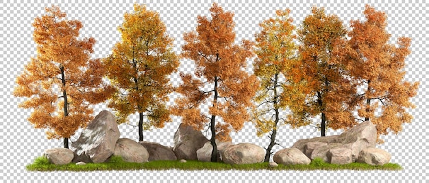 Autumn trees lanscape forest 3d rendering backgrounds