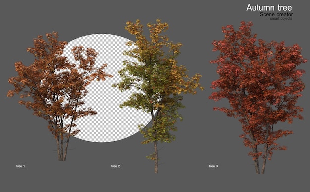 Autumn trees of various shapes