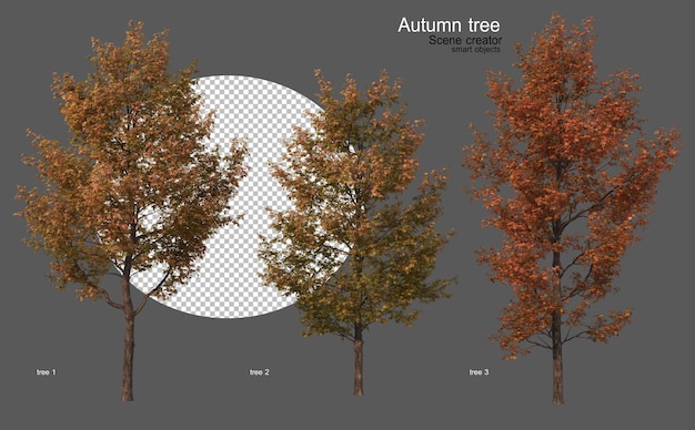 PSD alberi autunnali di varie forme