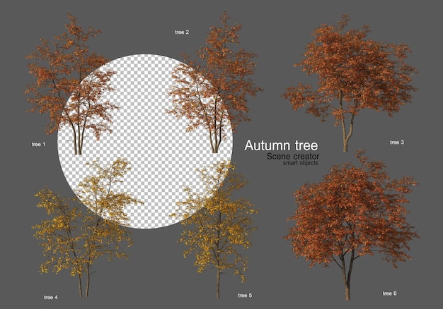 가을 나무 다양한 유형 많은 모양