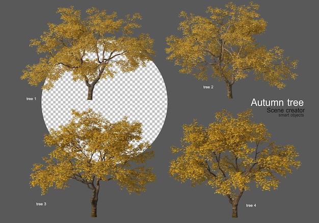 Осенние деревья различных типов, много форм
