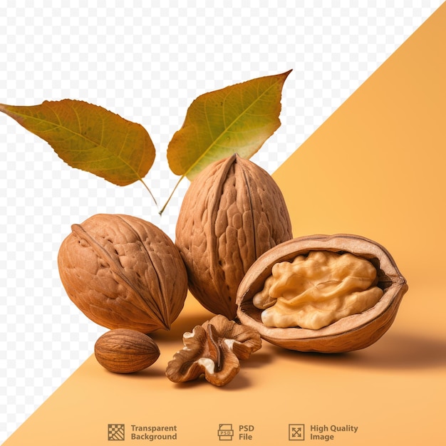 PSD autumn walnuts on transparent background