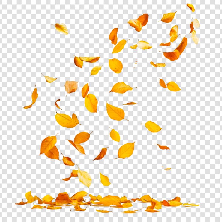 PSD autumn yellow leaves falling on a transparent background