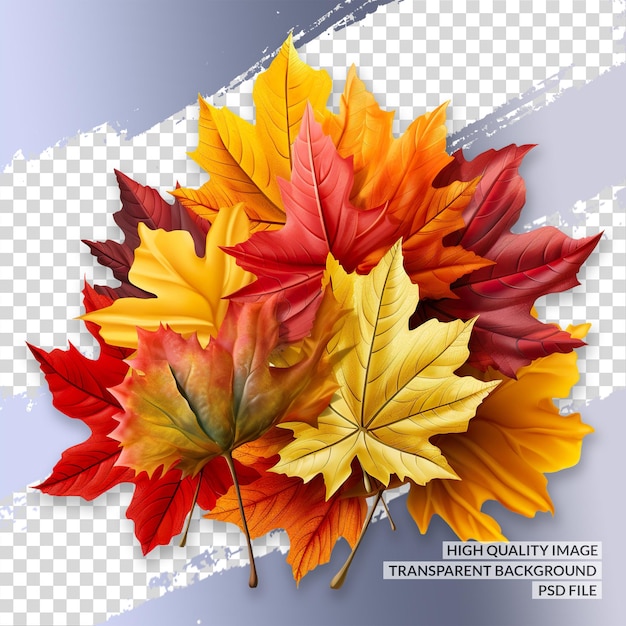 PSD autunno 3d png clipart sfondo trasparente isolato