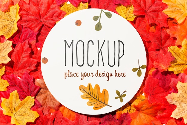 autumnal colorful leaves composition