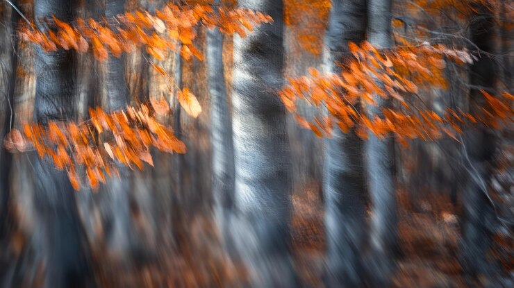 PSD autumnal forest motion blur a symphony of orange and gray