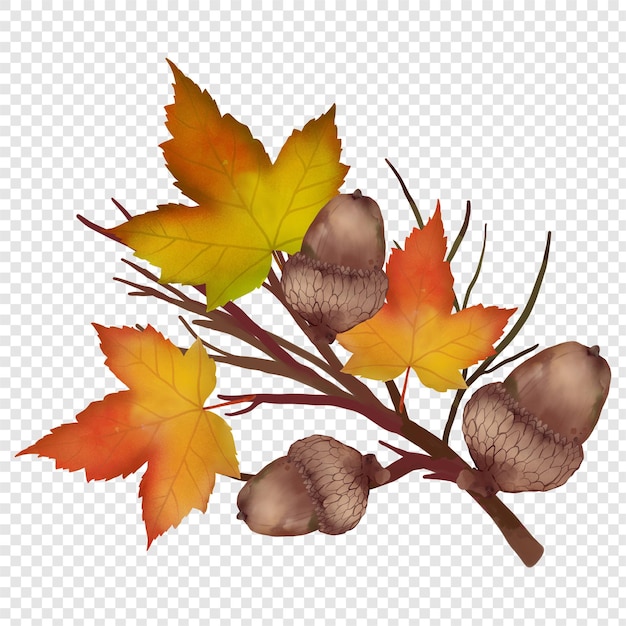 PSD autumnal leaves and acorn branch watercolor autumn fall rustic clipart element