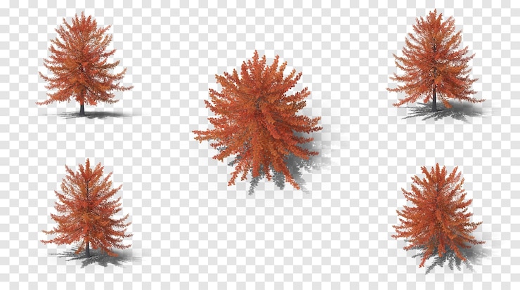 PSD autumnal trees with shadows on a transparent background