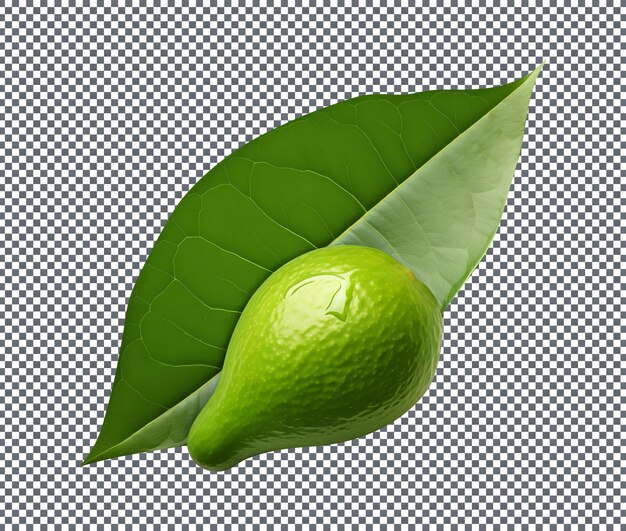 PSD avocado leaves isolated on a transparent background