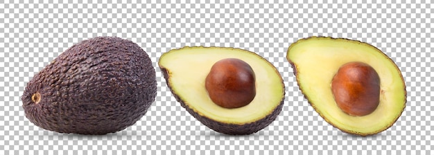 Avocado on white background