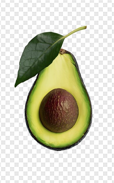 PSD an avocado with a leaf that is cut open