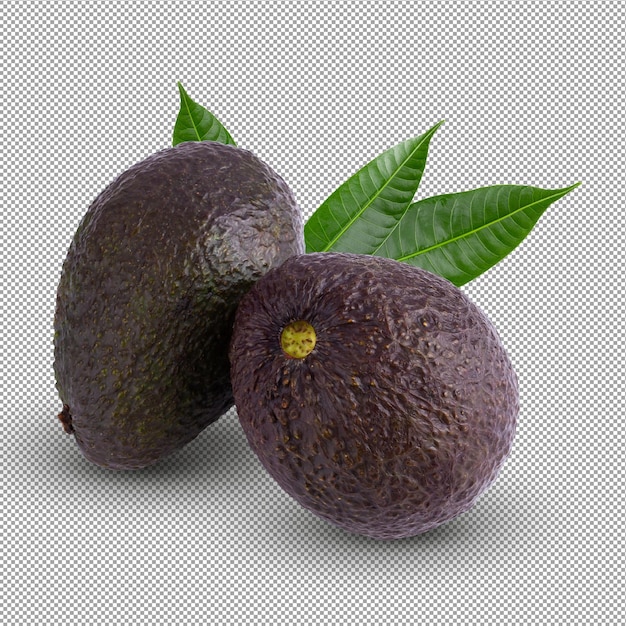 PSD avocado with leaves isolated on an alpha background