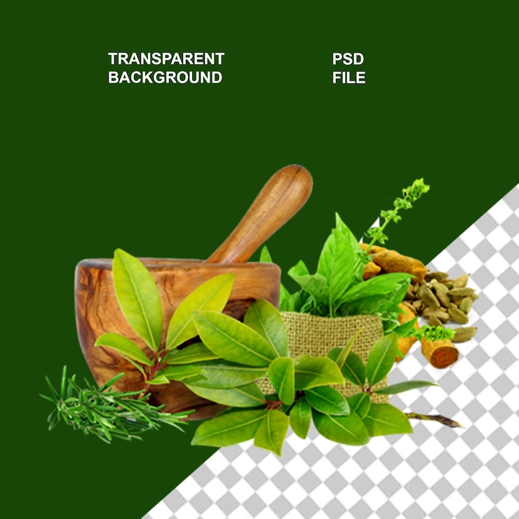 PSD ayurvadic herbal medicines on transparent isolated background